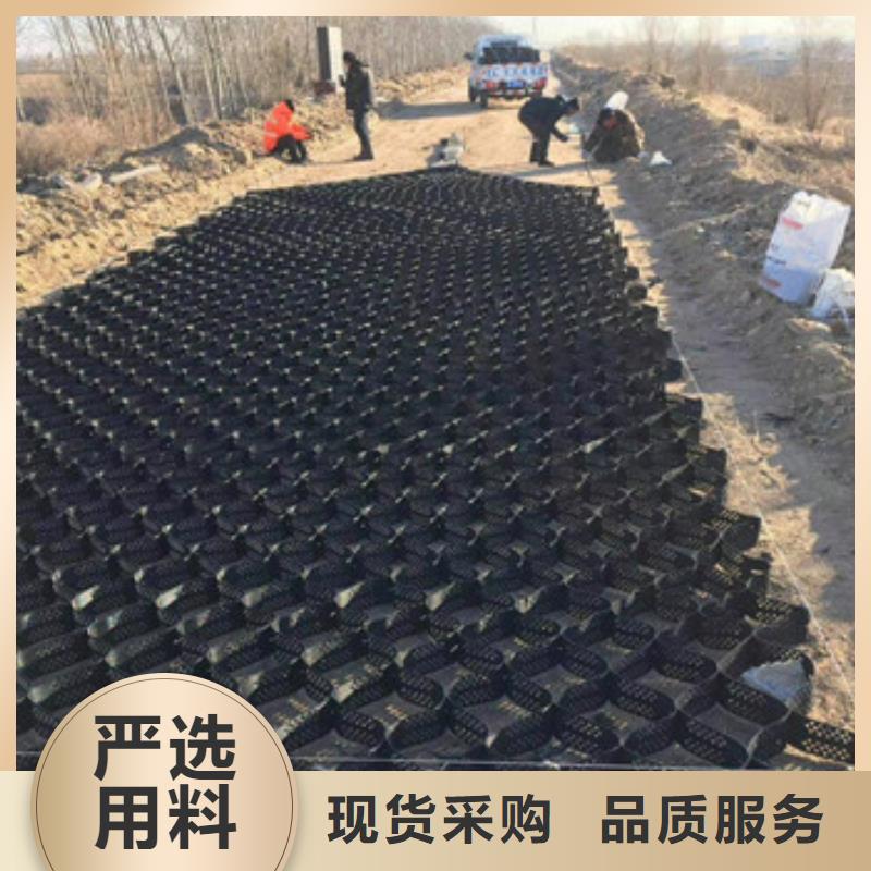 土工格室凸結(jié)點鋼塑土工格柵源頭工廠量大優(yōu)惠