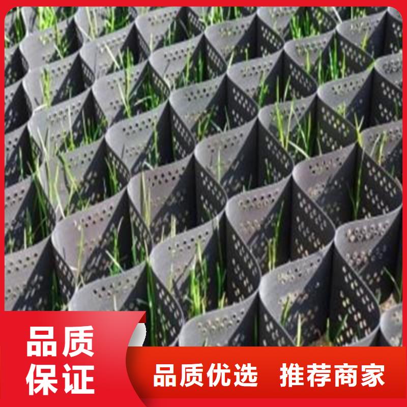 土工格室_塑料土工格柵保障產(chǎn)品質(zhì)量