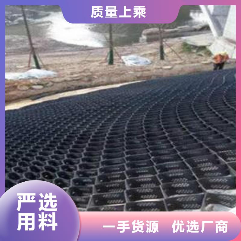 土工格室凸结点钢塑土工格栅源头工厂量大优惠