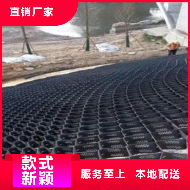 土工格室-塑料土工格栅优质货源