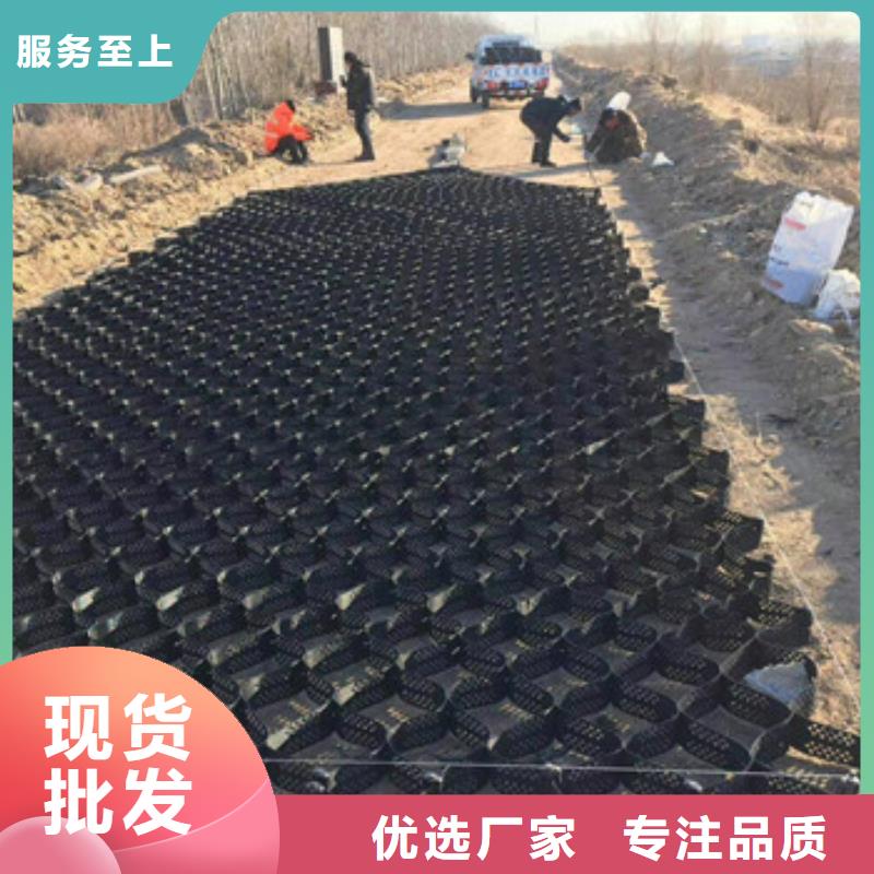 土工格室護坡土工網(wǎng)我們更專業(yè)