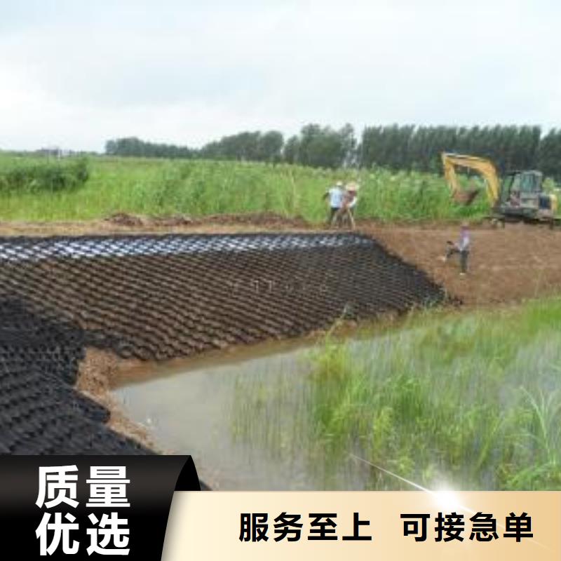 土工格室_塑料土工格柵保障產(chǎn)品質(zhì)量