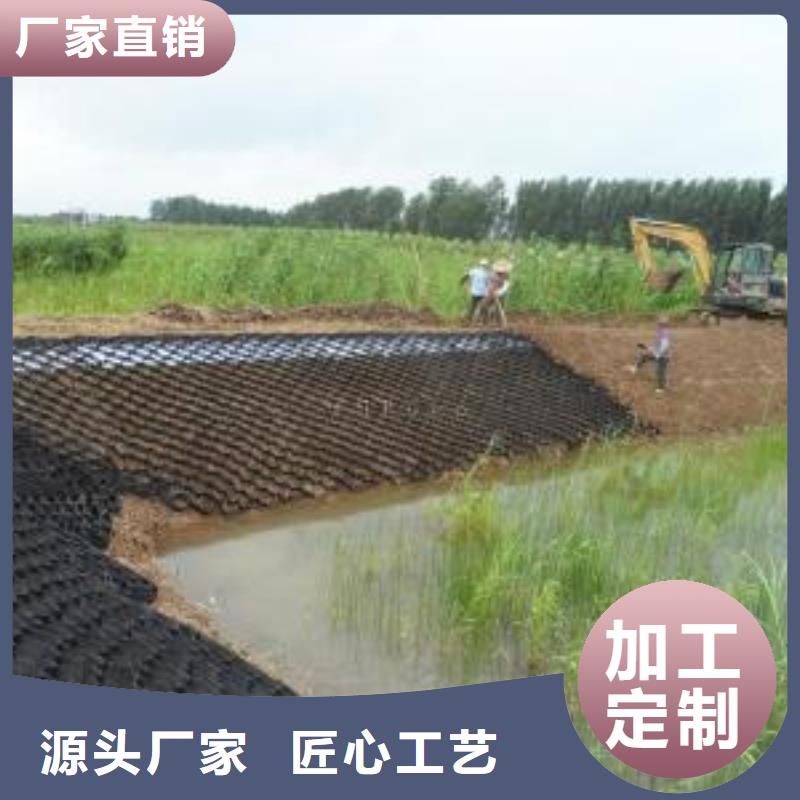 土工格室_塑料土工格柵保障產(chǎn)品質(zhì)量