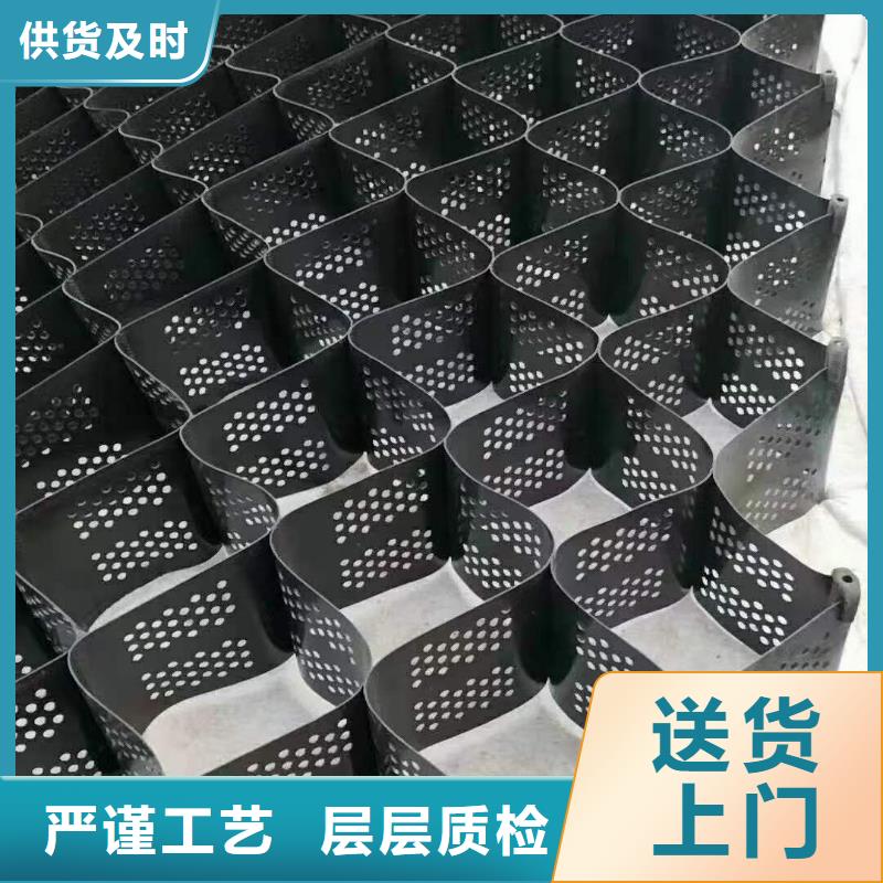 土工格室_塑料土工格栅保障产品质量
