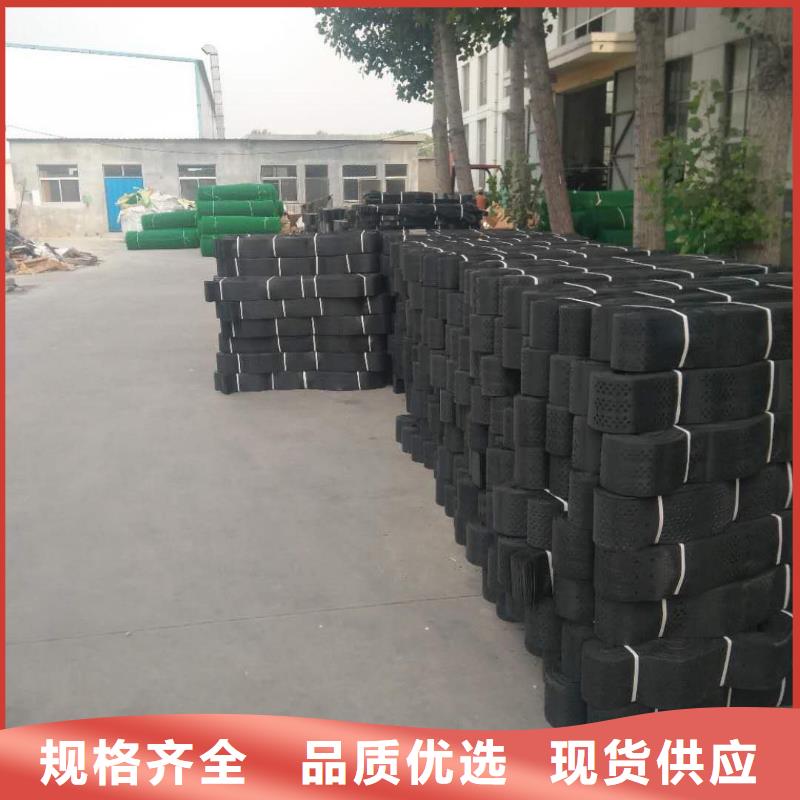 土工格室滌綸土工格柵高品質現(xiàn)貨銷售
