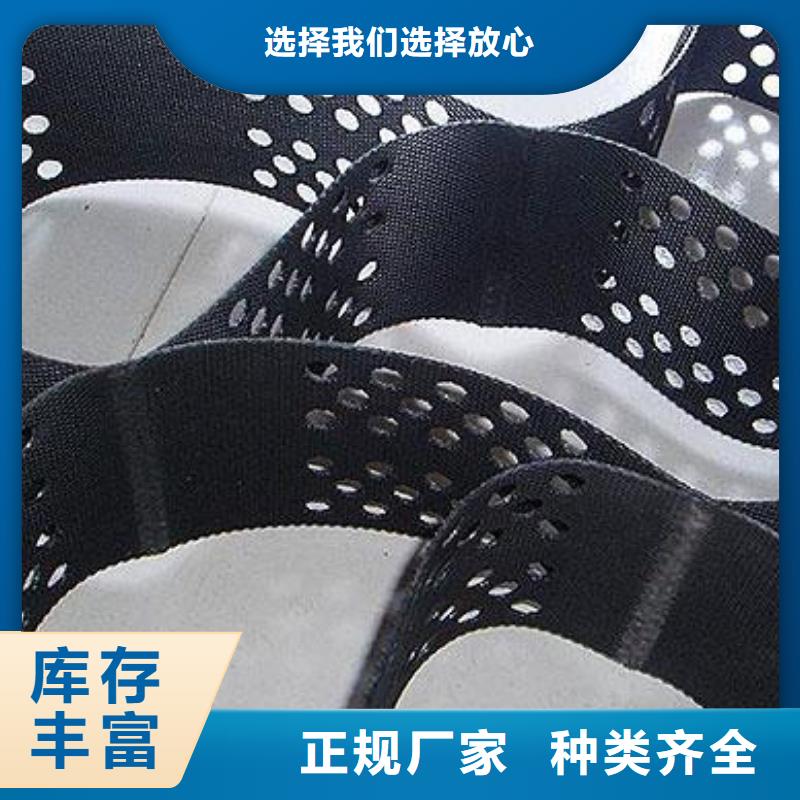 土工格室塑料土工格柵為品質(zhì)而生產(chǎn)
