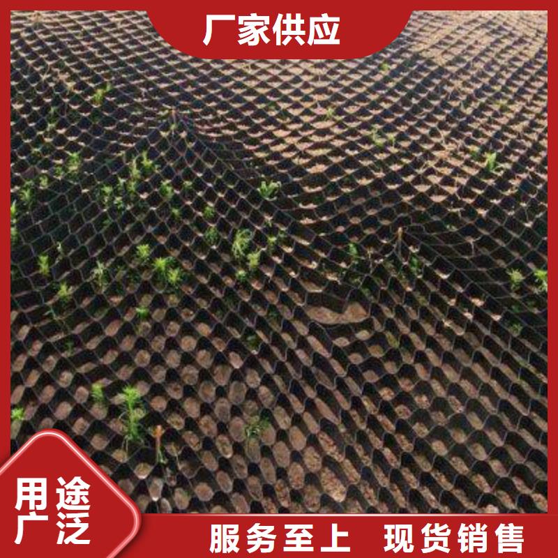 土工格室凸結(jié)點(diǎn)鋼塑土工格柵源頭工廠量大優(yōu)惠