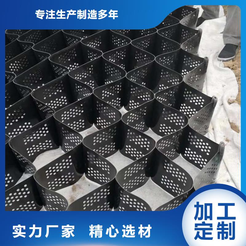 土工格室護坡土工網(wǎng)我們更專業(yè)