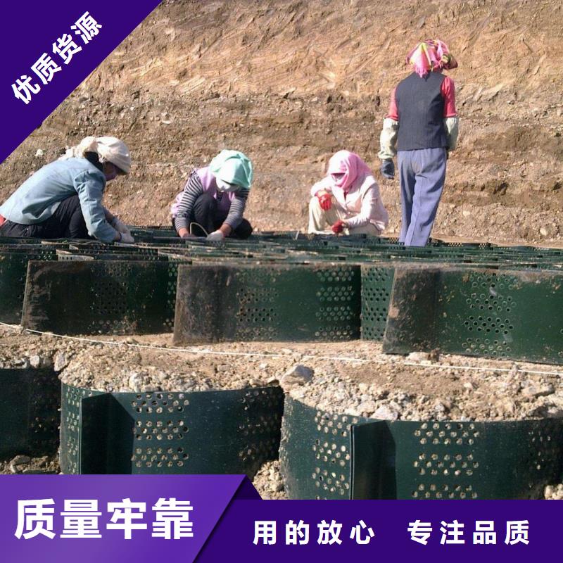 土工格室塑料土工格柵為品質(zhì)而生產(chǎn)