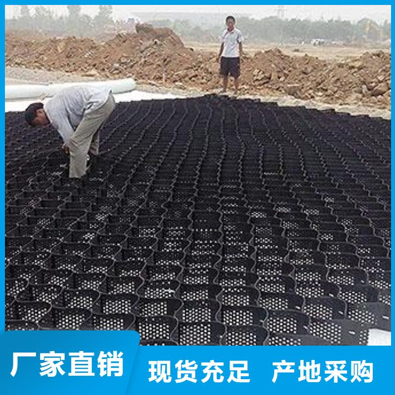 土工格室_塑料土工格栅保障产品质量