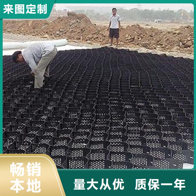 土工格室滌綸土工格柵高品質現(xiàn)貨銷售