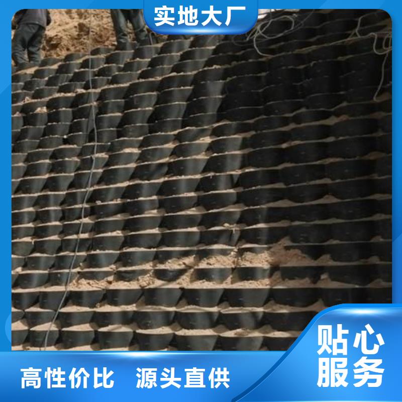 土工格室_塑料土工格柵保障產(chǎn)品質(zhì)量