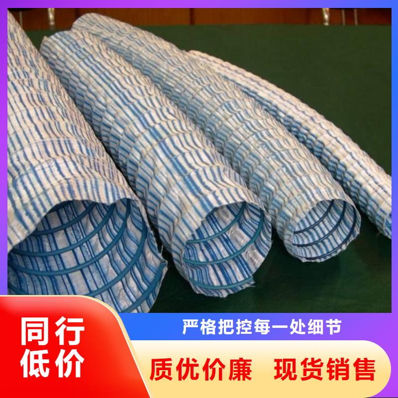 軟式透水管聚乙烯土工膜支持定制加工