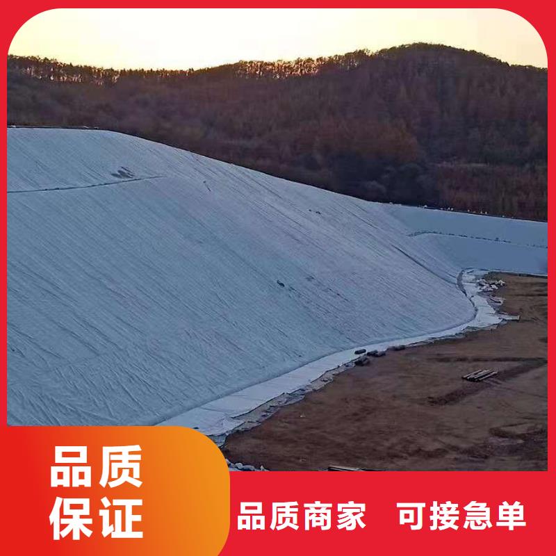 三維復合排水網(wǎng)【三維土工網(wǎng)墊】聯(lián)系廠家