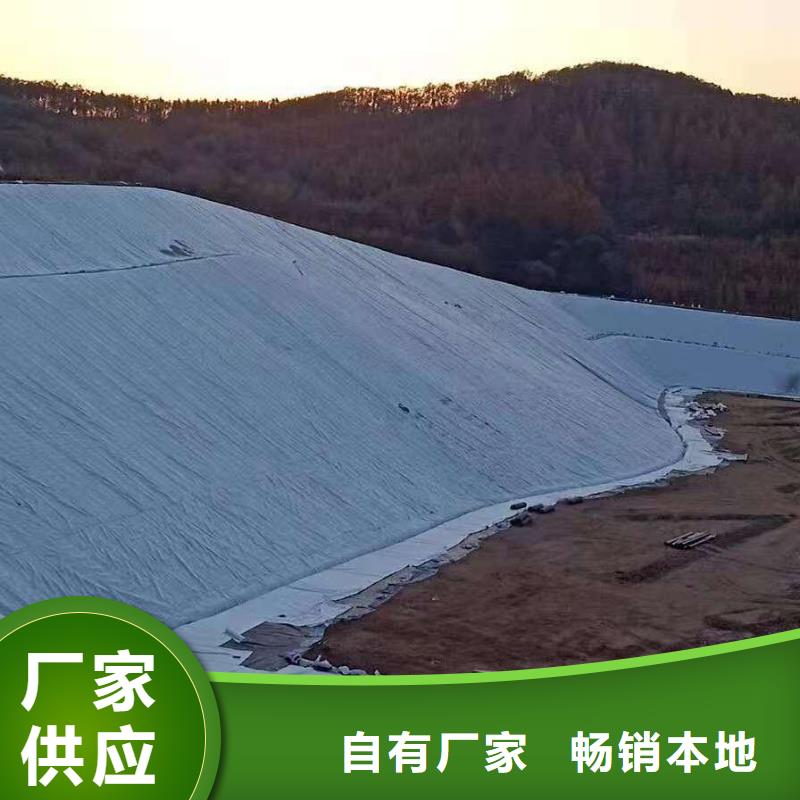 三维复合排水网反滤土工布专注质量