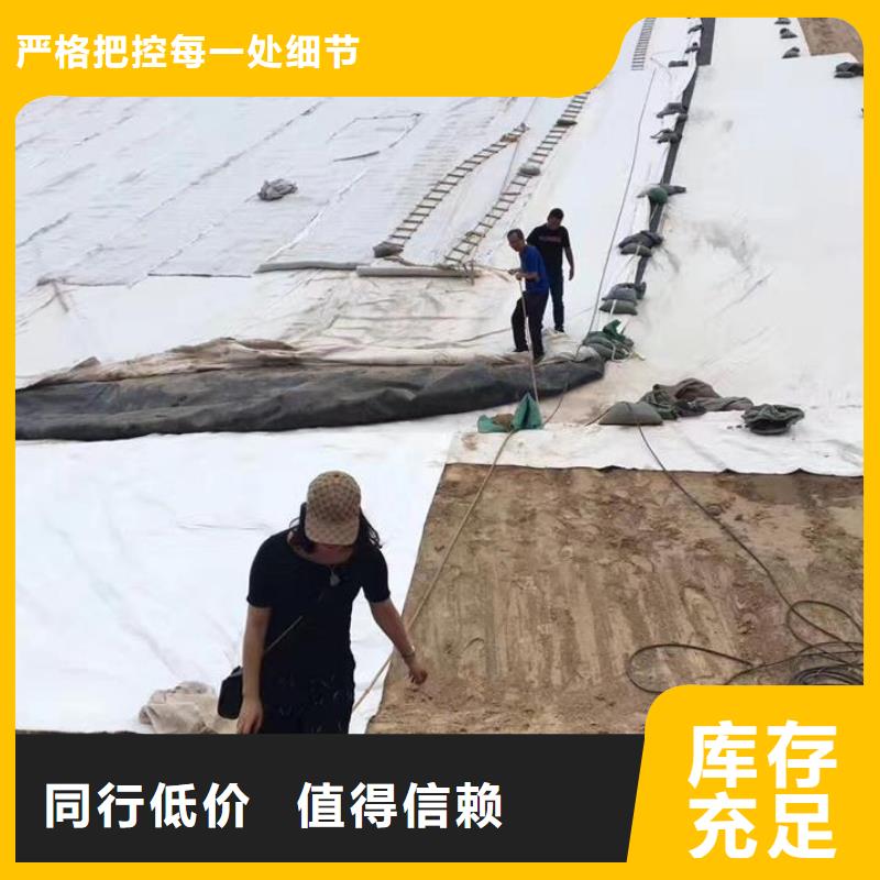 三维复合排水网反滤土工布专注质量
