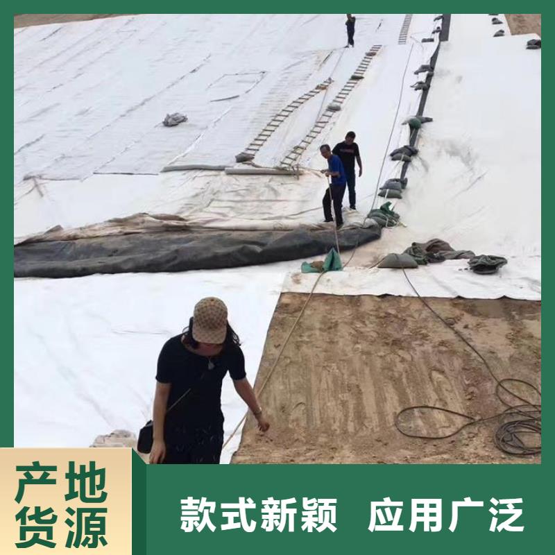 三维复合排水网复合土工膜全品类现货