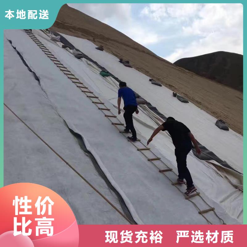 三維復(fù)合排水網(wǎng)反濾土工布專注質(zhì)量