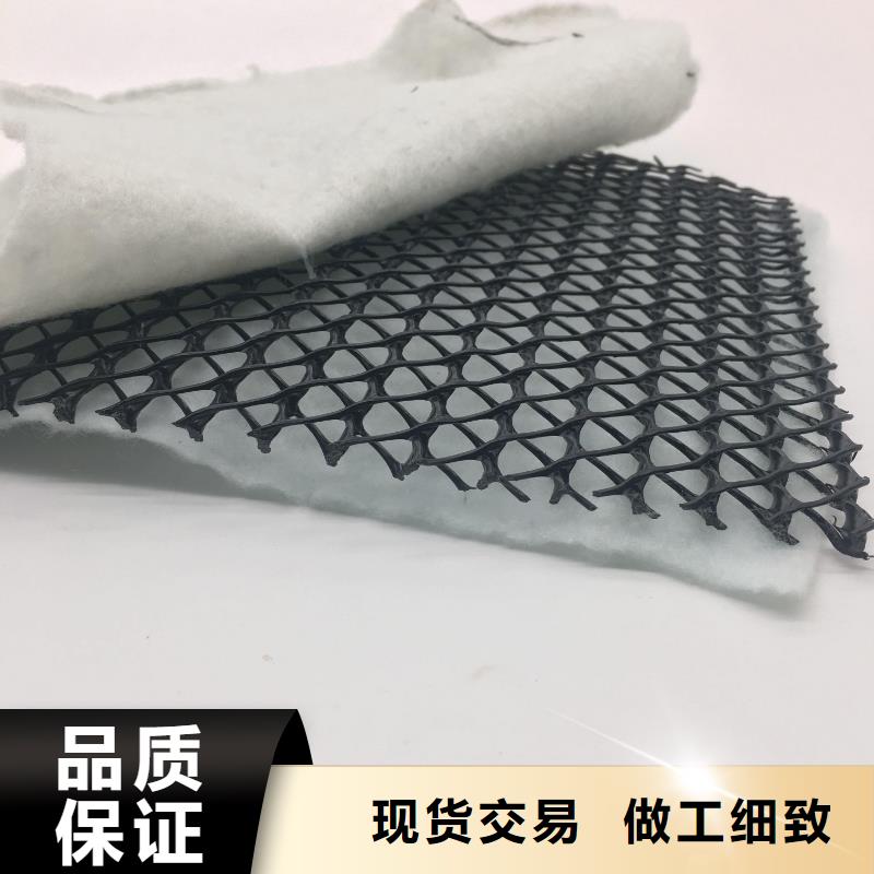三維復(fù)合排水網(wǎng)防水土工布您想要的我們都有