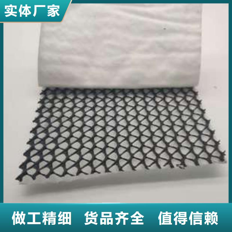 三维复合排水网HDPE黑色土工膜品类齐全