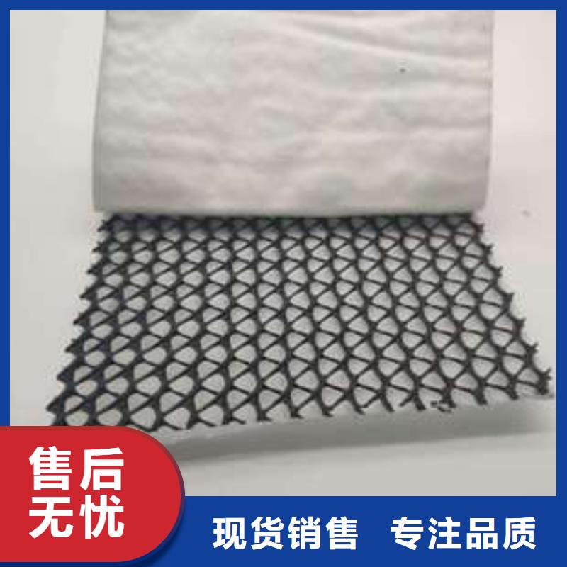 三維復(fù)合排水網(wǎng)鋼塑土工格柵廠家批發(fā)價(jià)