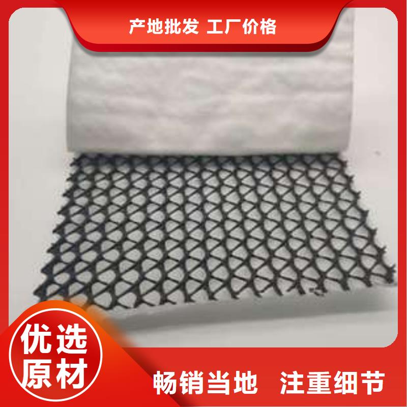 三維復(fù)合排水網(wǎng)三維土工網(wǎng)墊專(zhuān)業(yè)生產(chǎn)制造廠
