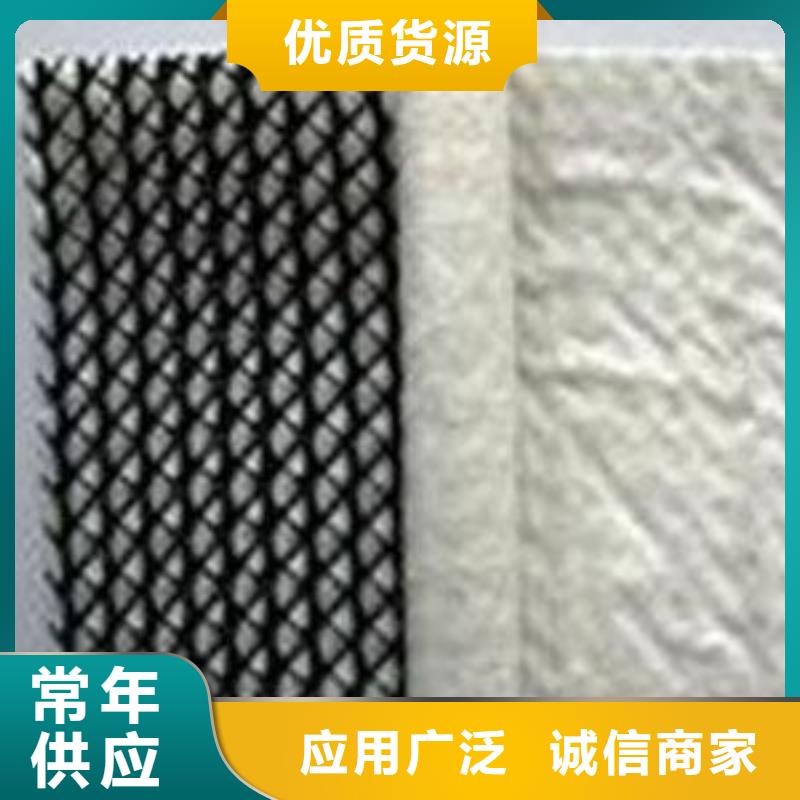 三維復合排水網(wǎng)單向塑料土工格柵可定制有保障