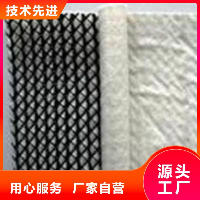 三维复合排水网【三维土工网垫】定制销售售后为一体