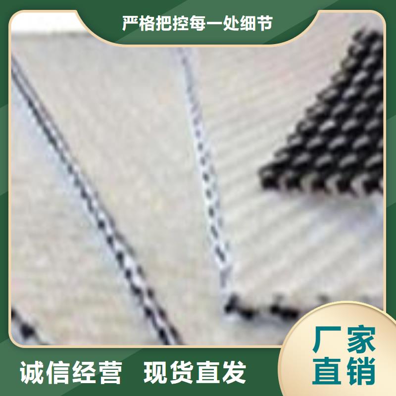 三維復合排水網(wǎng)單向塑料土工格柵可定制有保障