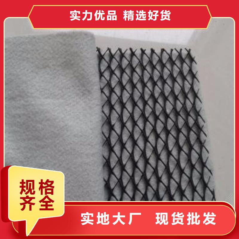 三维复合排水网复合土工膜全品类现货