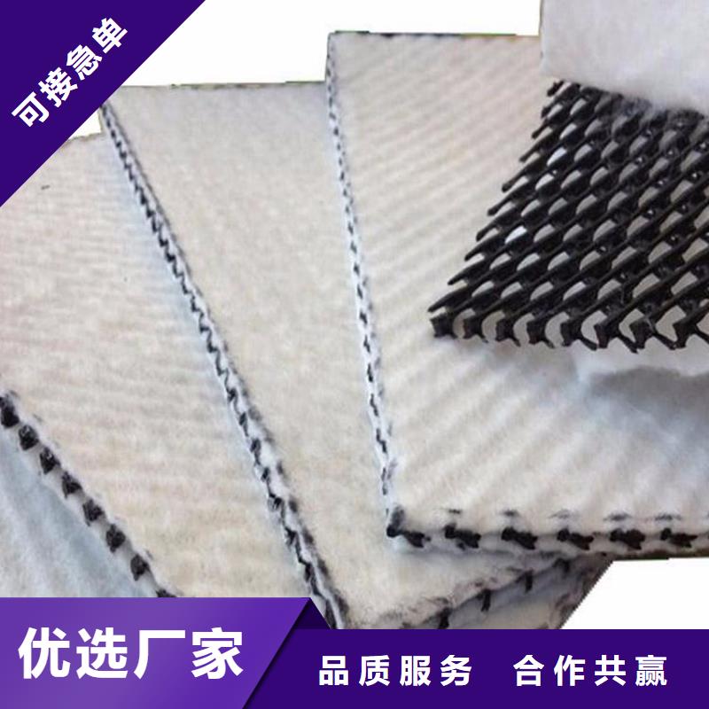 三维复合排水网防水土工布您想要的我们都有