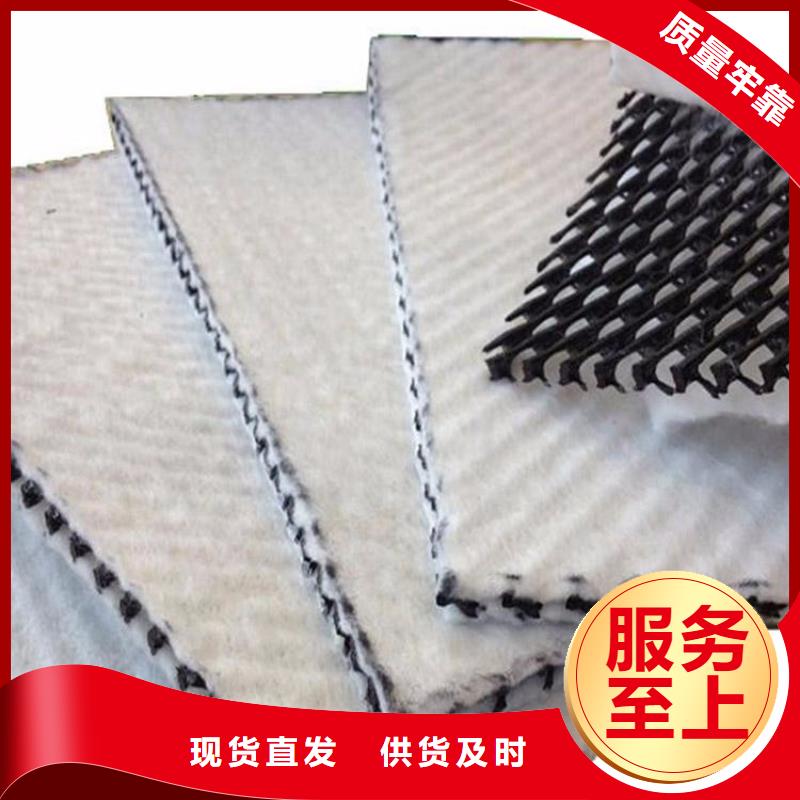 三维复合排水网HDPE黑色土工膜品类齐全