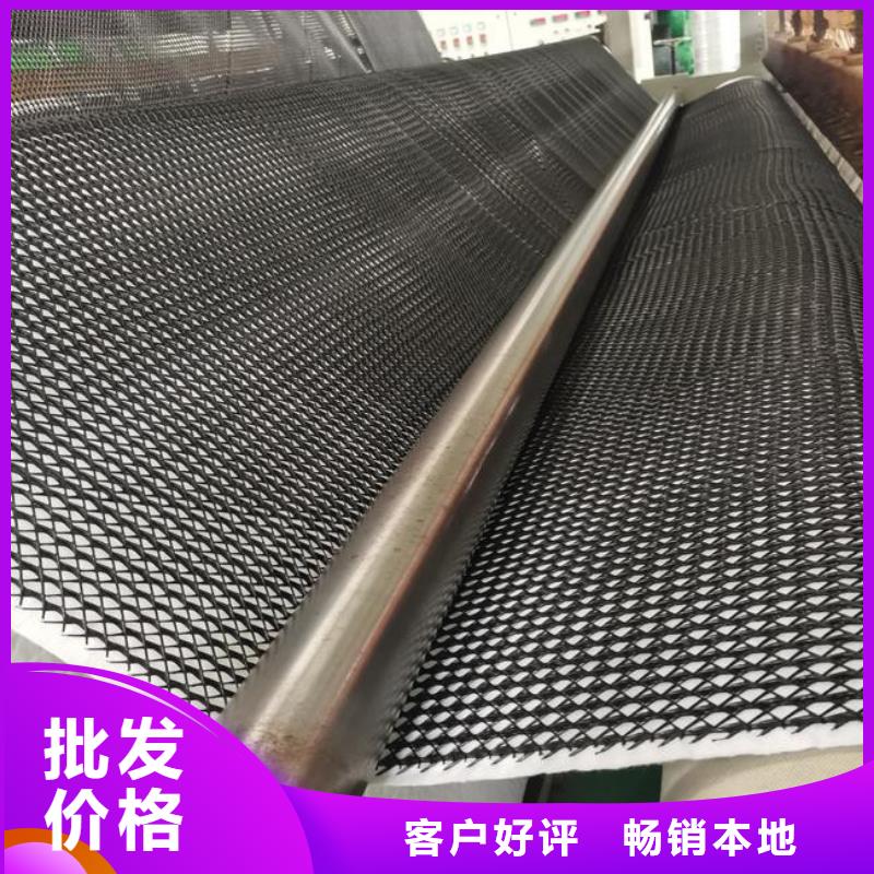 三維復(fù)合排水網(wǎng)三維土工網(wǎng)墊專業(yè)生產(chǎn)制造廠