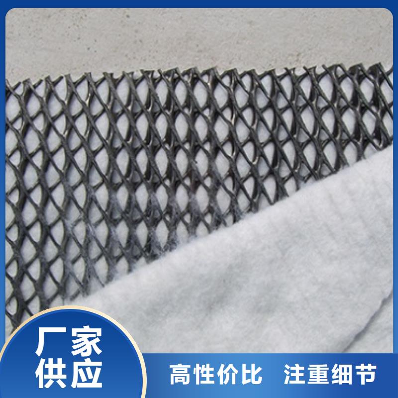 三維復合排水網(wǎng)單向塑料土工格柵可定制有保障