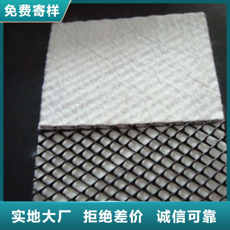 三維復(fù)合排水網(wǎng)防水土工布您想要的我們都有