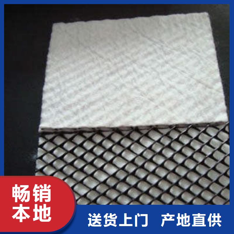 三维复合排水网【三维土工网垫】联系厂家