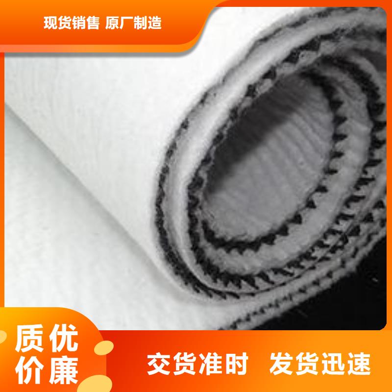 三维复合排水网【三维土工网垫】定制销售售后为一体