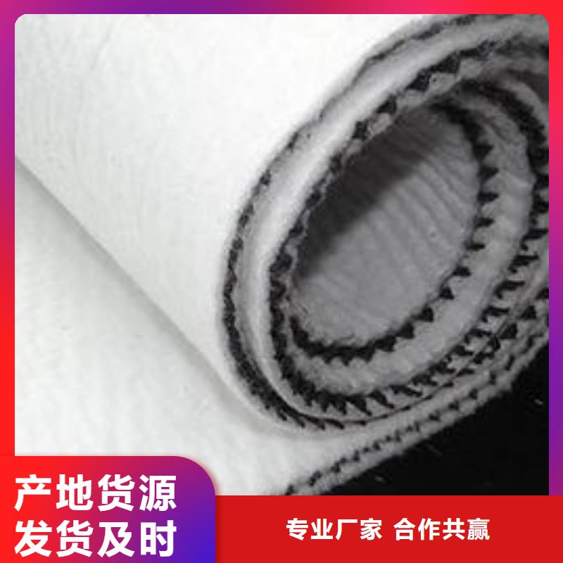 三維復(fù)合排水網(wǎng)三維土工網(wǎng)墊專(zhuān)業(yè)生產(chǎn)制造廠