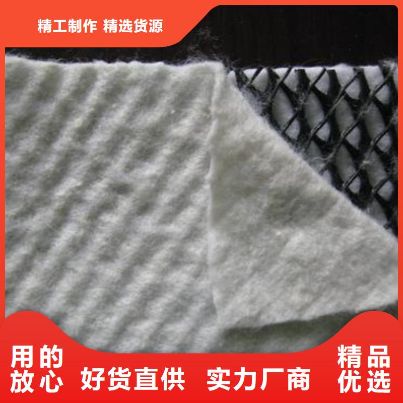 三维复合排水网【三维土工网垫】联系厂家