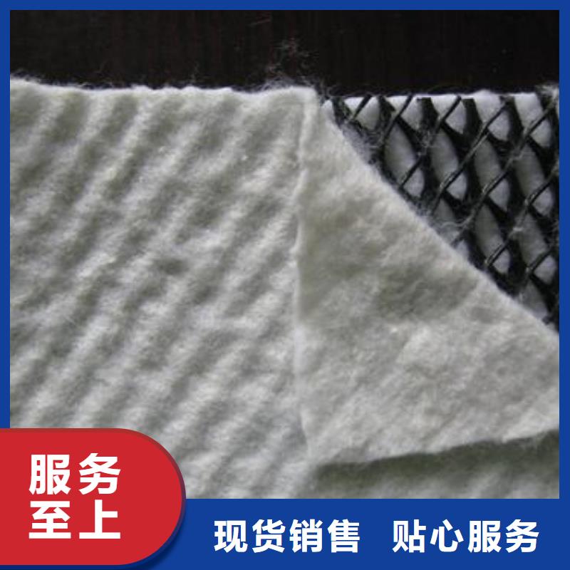 三維復(fù)合排水網(wǎng)三維土工網(wǎng)墊專(zhuān)業(yè)生產(chǎn)制造廠