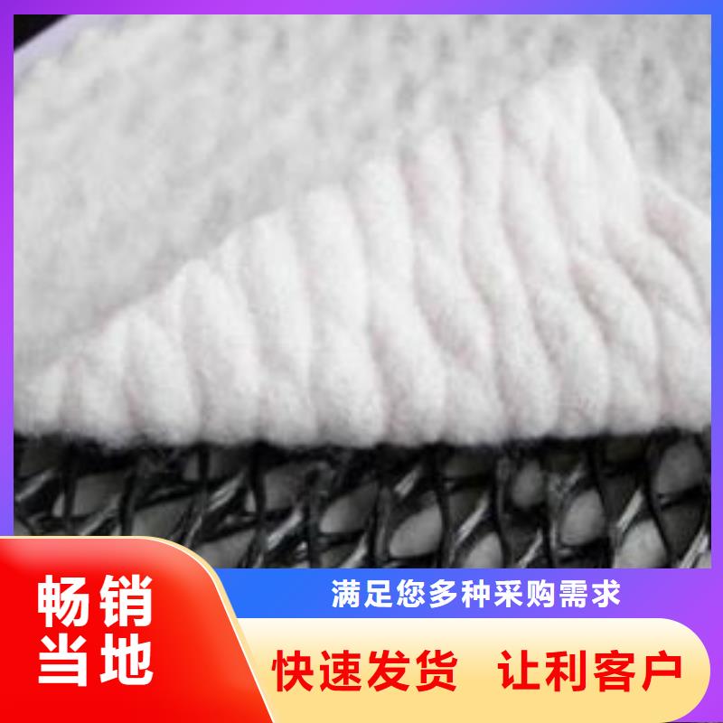 三维复合排水网【三维土工网垫】定制销售售后为一体