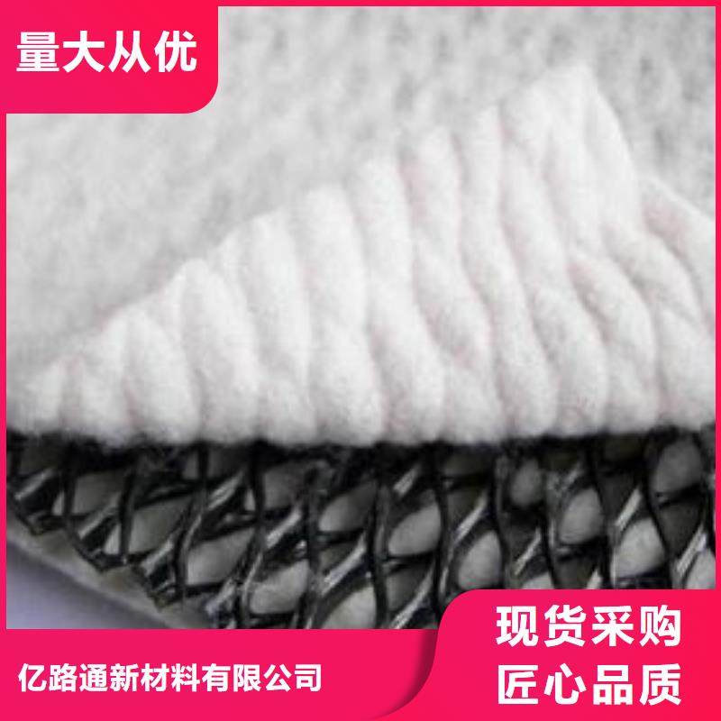 三維復(fù)合排水網(wǎng)三維土工網(wǎng)墊專(zhuān)業(yè)生產(chǎn)制造廠