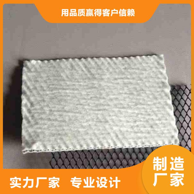 三维复合排水网反滤土工布专注质量