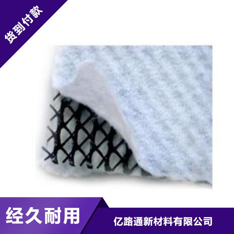 三维复合排水网HDPE黑色土工膜品类齐全