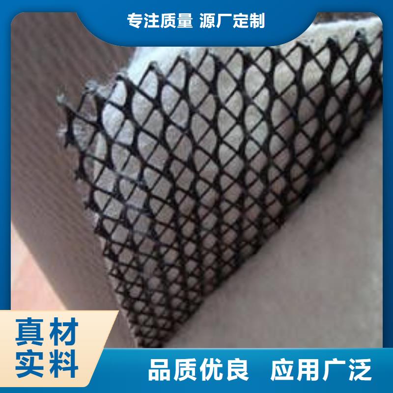 三維復(fù)合排水網(wǎng)三維土工網(wǎng)墊專(zhuān)業(yè)生產(chǎn)制造廠
