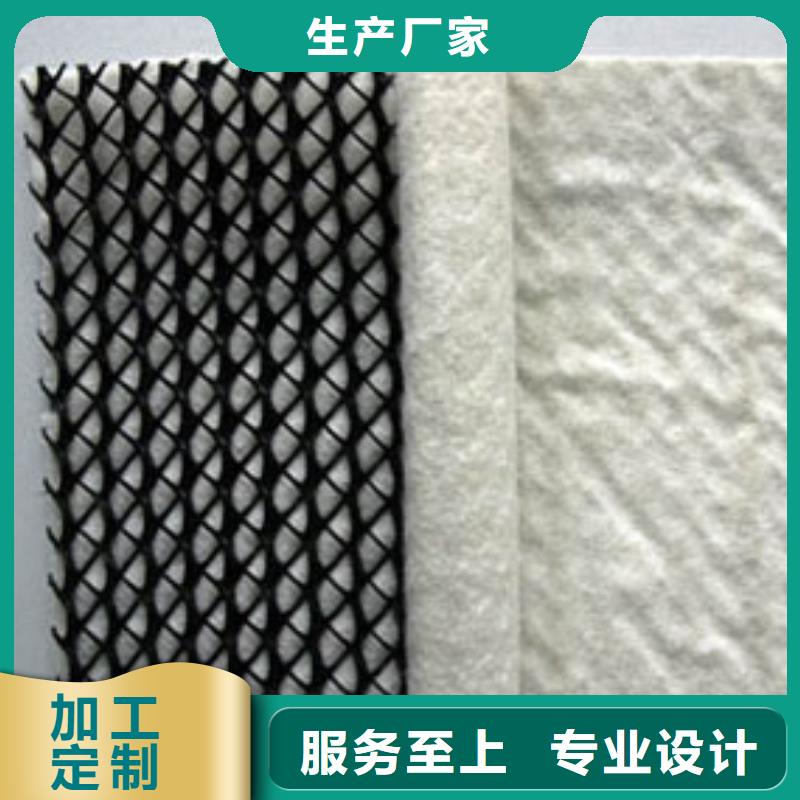 三維復(fù)合排水網(wǎng)三維土工網(wǎng)墊專(zhuān)業(yè)生產(chǎn)制造廠