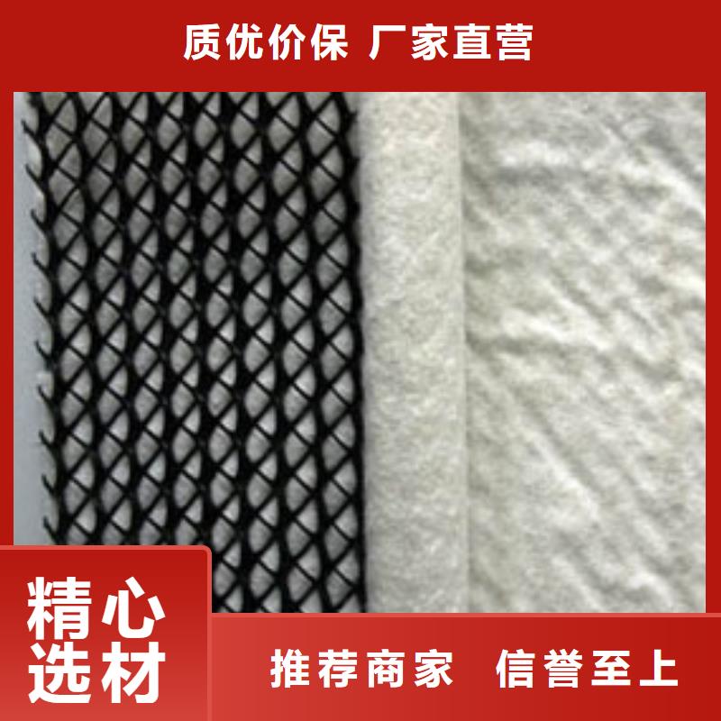 三维复合排水网反滤土工布专注质量