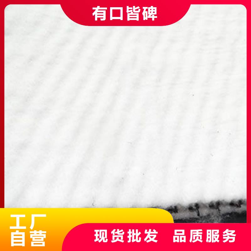 三維復合排水網(wǎng)單向塑料土工格柵可定制有保障