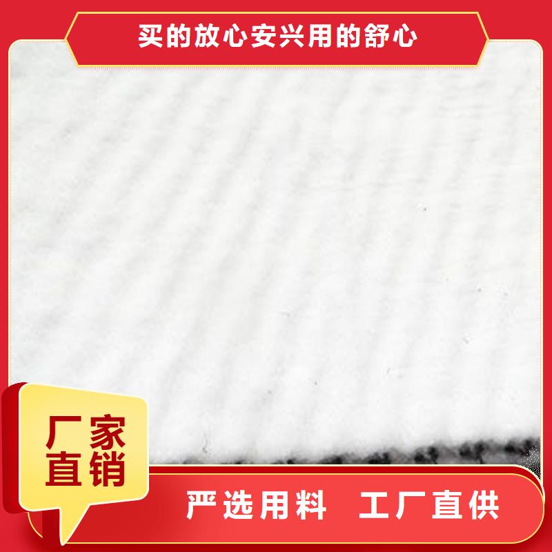 三維復(fù)合排水網(wǎng)單向塑料土工格柵可定制有保障