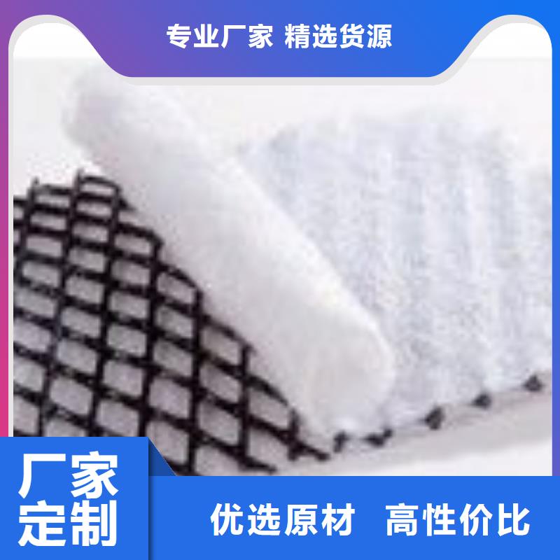 三維復(fù)合排水網(wǎng)單向塑料土工格柵可定制有保障